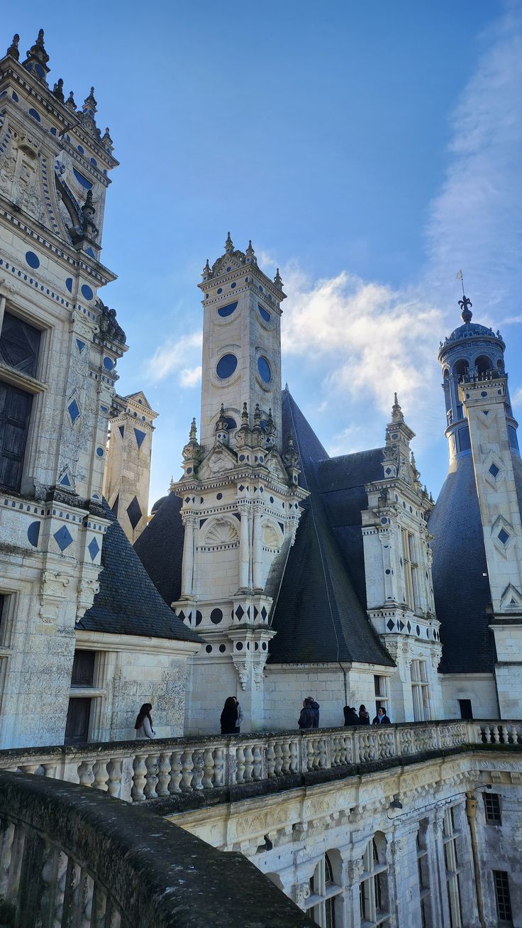 Excursión Privada a los Castillos del Loira: Chambord y Chenonceau — foto 1