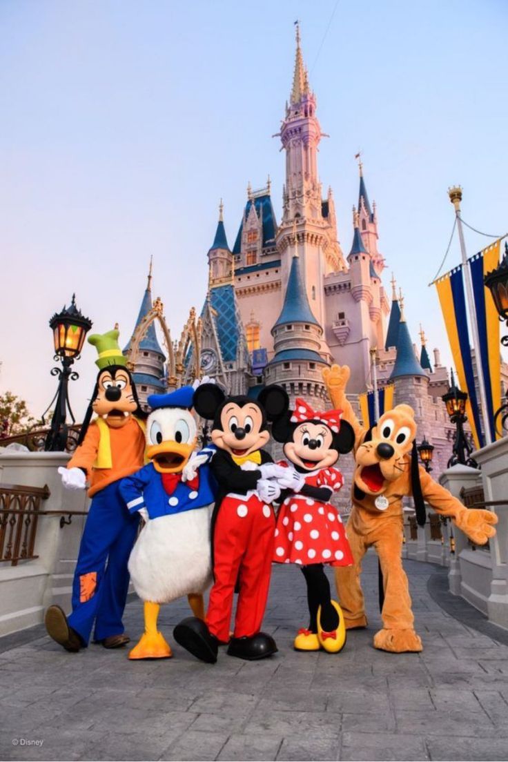Castillo de Disneyland París